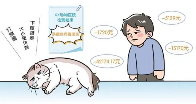 3萬買貓后續(xù)治療費(fèi)6萬法院判了！(圖3)