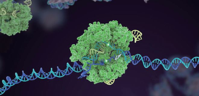 押寶CRISPR和人工智能！張澤民院士團(tuán)隊(duì)的研究方向開始更新了！(圖2)