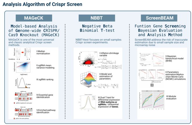 腫瘤CRISPRScreen在線平臺(tái)！重磅推薦！(圖5)