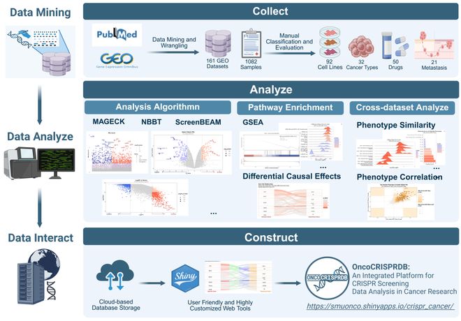 腫瘤CRISPRScreen在線平臺(tái)！重磅推薦！(圖3)